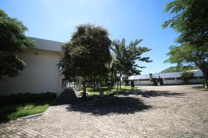 Zahrada ubytování Nguyen Le Villa Long Hải
