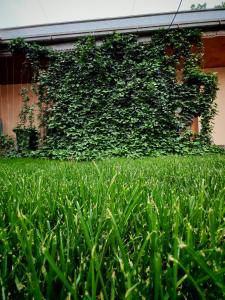 Fotografie z fotogalerie ubytování Hotel Motrid v destinaci Samarkand