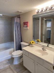 迈尔斯堡A perfect and elegant condo in Fort Myers的浴室里有洗手池、马桶和镜子。