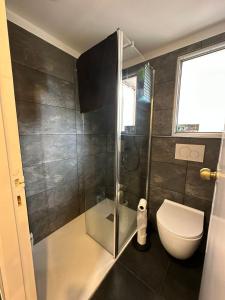 a bathroom with a toilet and a glass shower at Appartement les pieds dans l'eau in Cannes