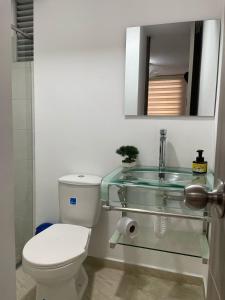 a bathroom with a toilet and a glass sink at Apartamento con aroma a café in Montenegro +14 photos