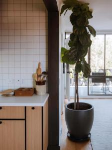 Φωτογραφία από το άλμπουμ του The Perfect Apartment στο Sandy Bay