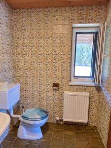 Un baño con inodoro y ventana. en Haus Sprenger, en Häselgehr 27 fotos más