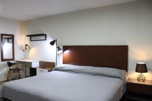 a bedroom with a bed and a desk with a lamp at Lofts Las Fuentes in Guadalajara