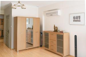 Kuchyň nebo kuchyňský kout v ubytování Apartamenty Optimal