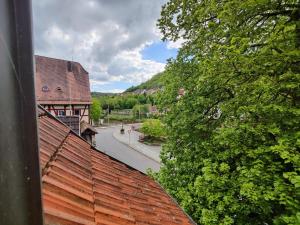 Příroda nedaleko apartmánu