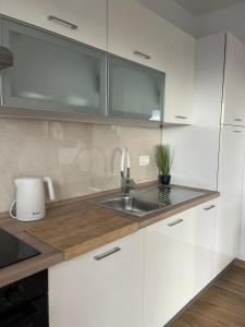 Gallery image of Studio Apartman Nika in Višnjan