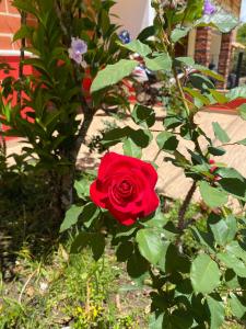 Afbeelding uit fotogalerij van Casa La Arboleda in Jericó