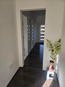 Fotografija v galeriji nastanitve Ivys apartman v mestu Ćuprija