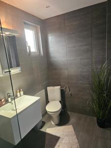 Koupelna v ubytování Ivys apartman