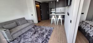 Una sala de estar con un sofá y una cocina. en Edificio o2, en Santiago