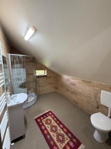 a bathroom with a toilet and a sink at Casa Dunca in Sighetu Marmaţiei