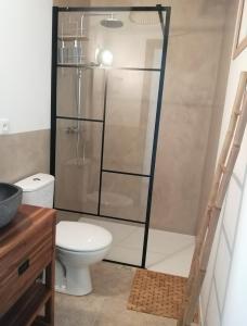 a bathroom with a shower and a toilet at Gîte Nomad Sablet in Sablet +15 photos