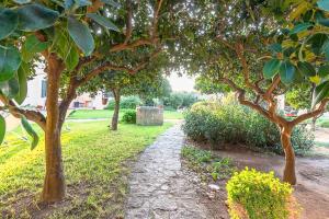 Fotografie z fotogalerie ubytování Villa de santis primo piano v destinaci Il Monte + 11 fotografií