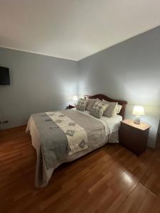 Afbeelding uit fotogalerij van Santo Domingo Down Town in Santiago