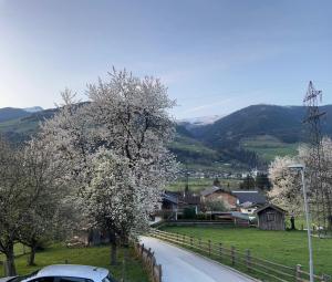 Příroda nedaleko apartmánu + 4 fotografie