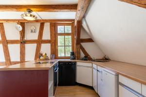 Kuchyň nebo kuchyňský kout v ubytování Loft auf altem Gutshof ab 2 Nächte
