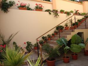 Fotografie z fotogalerie ubytování Hotel Orchidea v destinaci Sozopol
