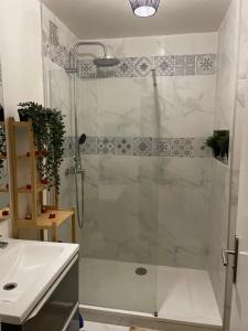 a shower with a glass door next to a sink at BY NEPTUNE - Appartement Rustique JACUZZI in Bondy +3 photos