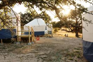 ジョンソンシティにあるJohnny Yurts - The Rodeoの野原の白青のテント +6枚の写真