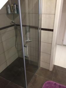 a shower with a glass door in a bathroom at Villa WoW in Zastań +13 photos