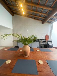 a plant in a vase sitting on top of a table at Hospedaria Casa Branca in Porto Seguro +31 photos