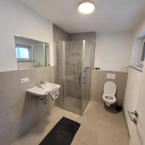 a bathroom with a shower and a toilet and a sink at Feuer und Flamme in Deggendorf +7 photos
