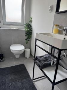 Koupelna v ubytování 1-Zimmer Apartment, Zentraler Lage + 6 fotografií