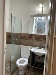 a bathroom with a toilet and a sink and a shower at esfuerzo in La Punta