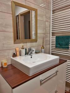 a bathroom with a white sink and a mirror at Ubytování Hrušky in Hrušky