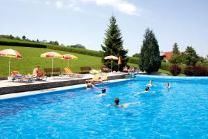 un grupo de personas nadando en una piscina en Ferienhotel Hofer superior en Strass im Attergau