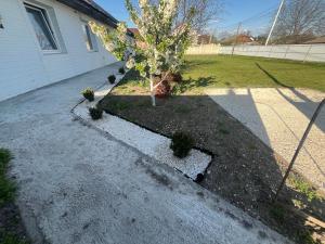 un arbre au milieu d'une allée dans l'établissement Дом Мария, à Bălţi