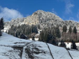 Φωτογραφία από το άλμπουμ του Căsuța de lângă izvor σε Moieciu de Sus