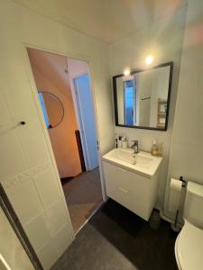 a bathroom with a sink and a mirror and a toilet at Charming mini-villa in Sanary-sur-Mer +8 photos