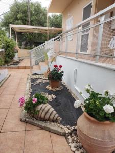 A garden outside Vasiliki house