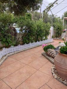 A garden outside Vasiliki house