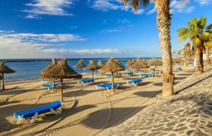 Una playa con sombrillas y sillas y el océano. en Las Americas Holiday Studio, en Adeje