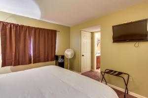 a bedroom with a bed and a flat screen tv at Bear-Sighting Condo Walk to Downtown Gatlinburg! in Gatlinburg