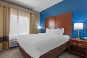 Postel nebo postele na pokoji v ubytování Comfort Suites DFW N-Grapevine
