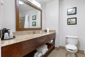 Koupelna v ubytování Comfort Suites DFW N-Grapevine