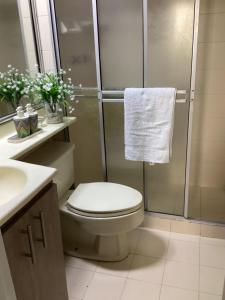 a bathroom with a shower with a toilet and a sink at Riberas apt, unique & memorable in Cali