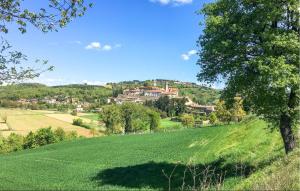a large field of green grass with a village in the background at Pet Friendly Apartment in Monte Santa Maria Tiberina +29 photos