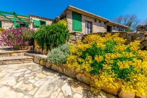 Taman di luar House Moj mir