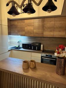 Kuchyň nebo kuchyňský kout v ubytování Apartman Golden Crown