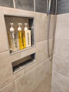 a shower shelf in a bathroom with four bottles on it at Schwartz Castle in Columbus +43 photos