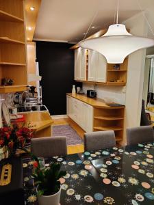 Kuchyň nebo kuchyňský kout v ubytování Spacious and bright 2 bedroom apartment
