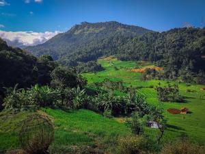 a green field with mountains in the background at Heeloya mount view garden in Kurukohogama