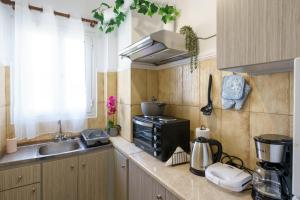a kitchen with a sink and a counter top at S K apartments K in Argostoli