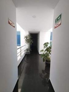 Fotografie z fotogalerie ubytování hotel royal fenix v destinaci Yopal