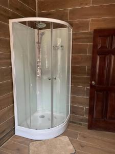- une douche avec une enceinte en verre dans l'établissement De-Image Villa, à Apenkwa 12 autres photos